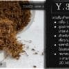 YASEN Y3-LM  ( แอลเอ็ม )
- เกรดA
- ขนาด 1ถุง 100กรัม - Image 2